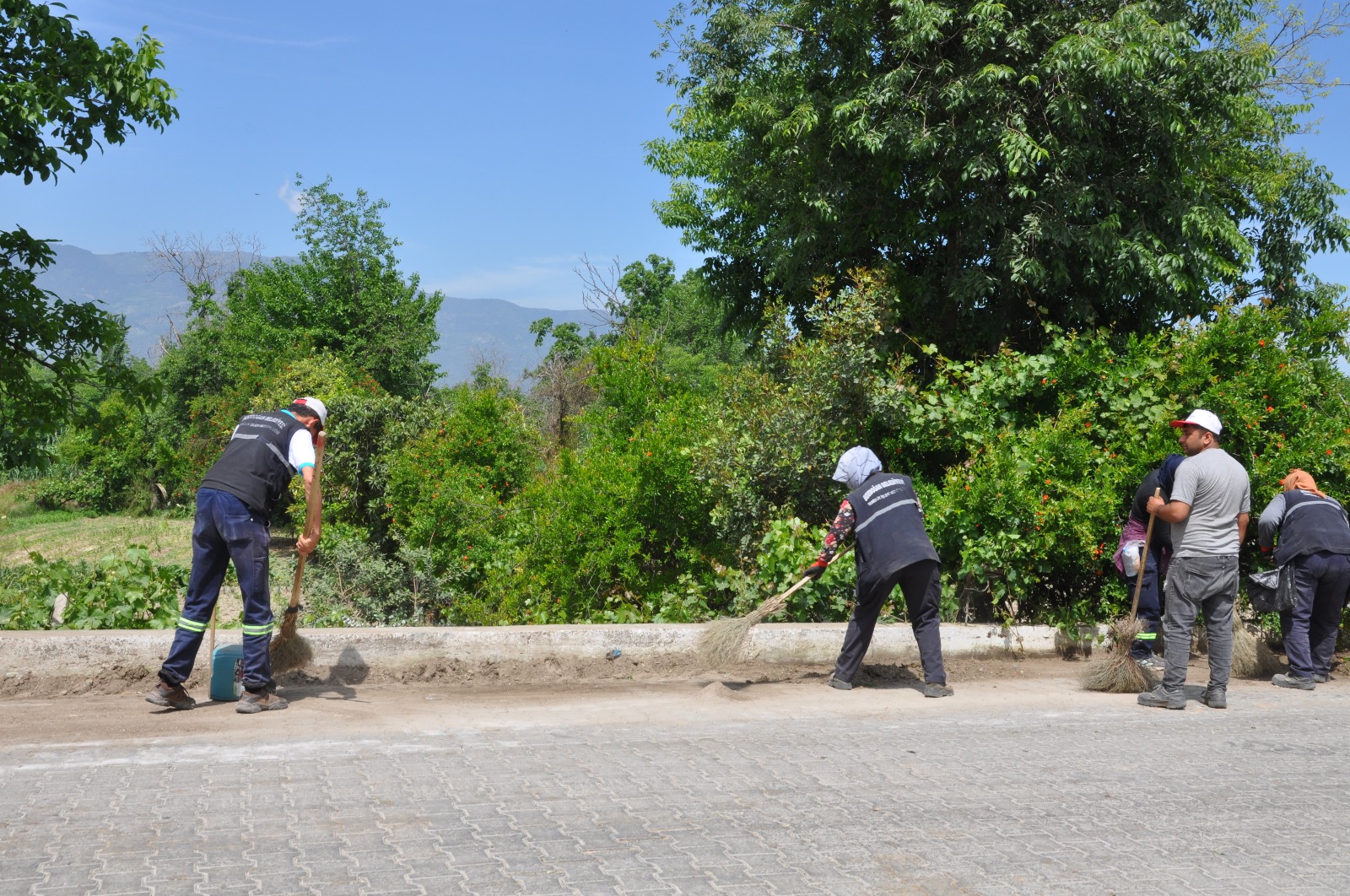 Whatsapp Image 2025 05 16 At 10.41.31 (1)