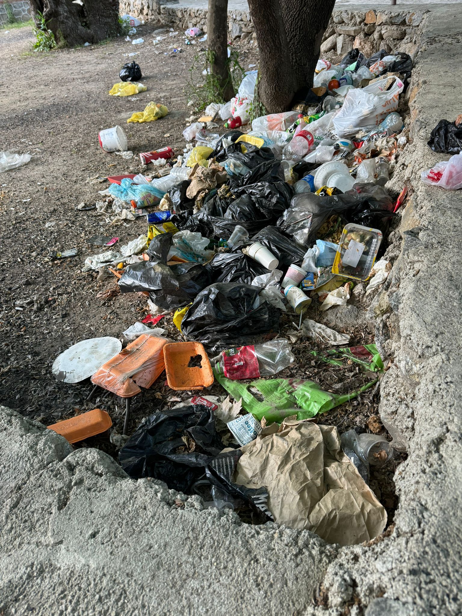 Whatsapp Image 2025 05 20 At 09.43.52