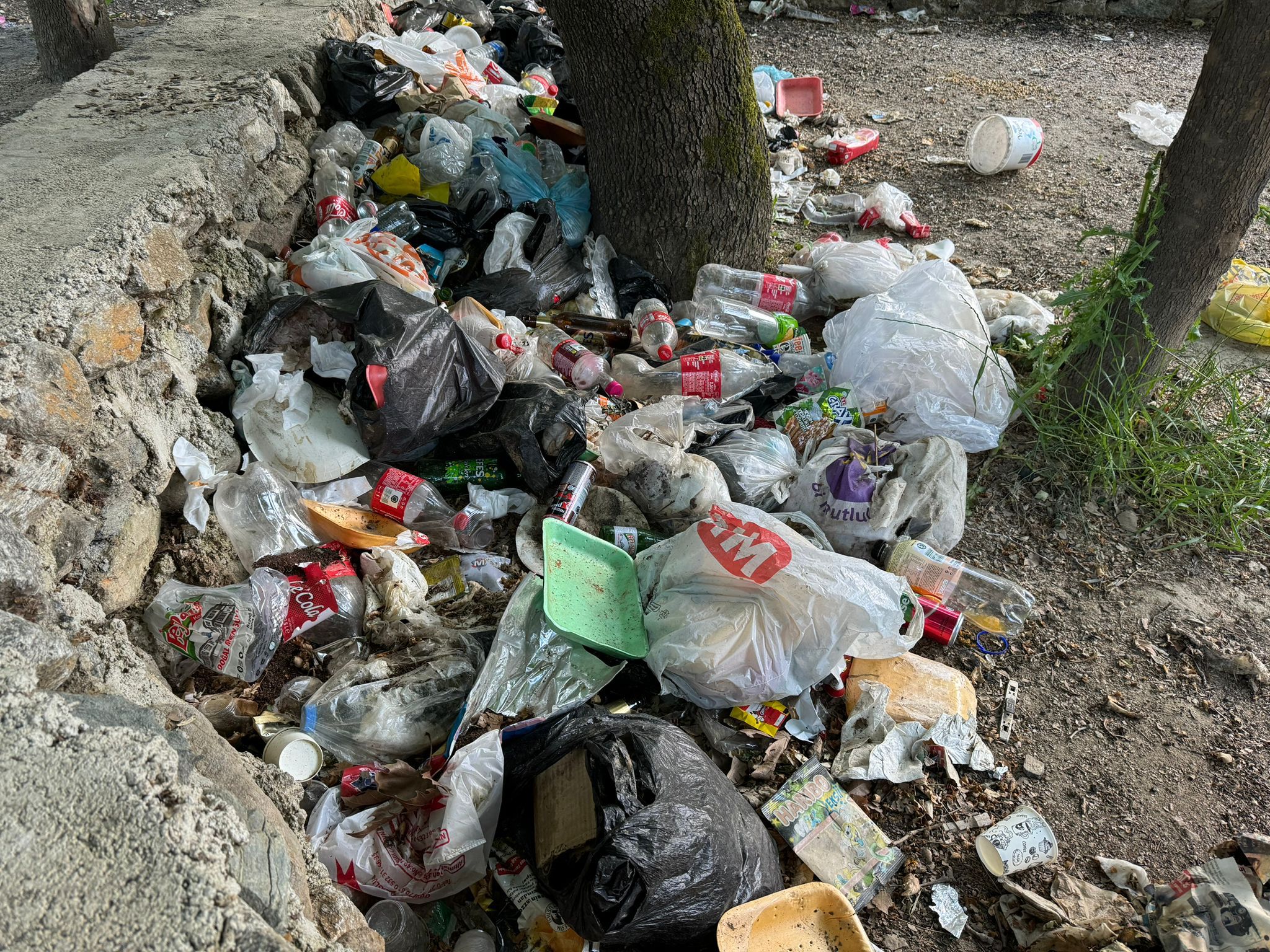 Whatsapp Image 2025 05 20 At 09.43.54