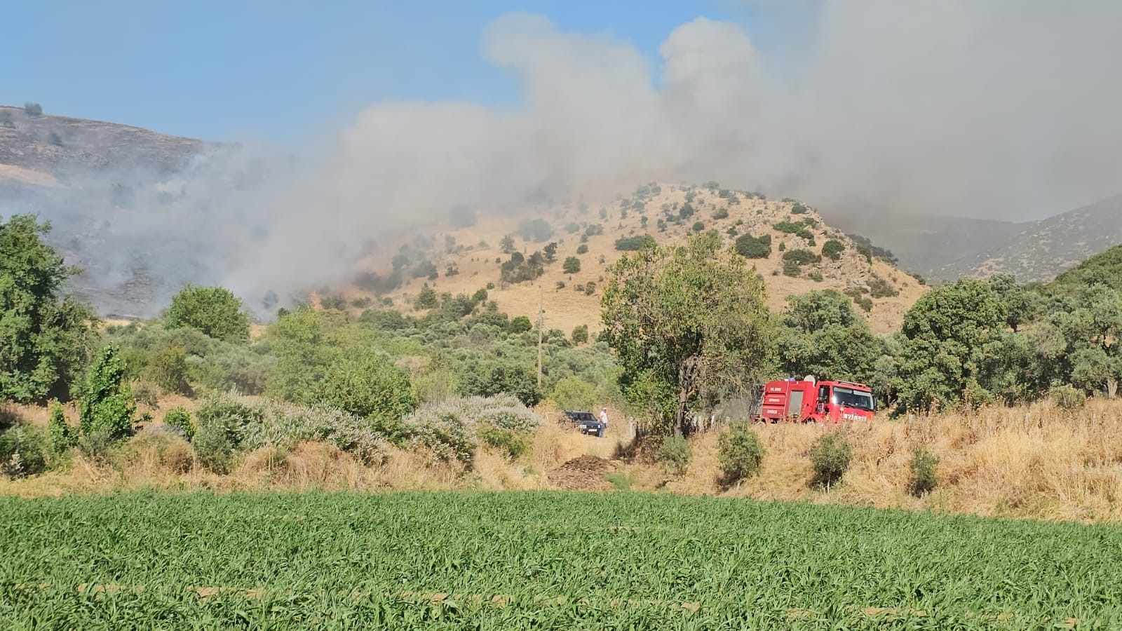 Aydın Nazilli’deki Yangına Müdahale Sürüyor (2)