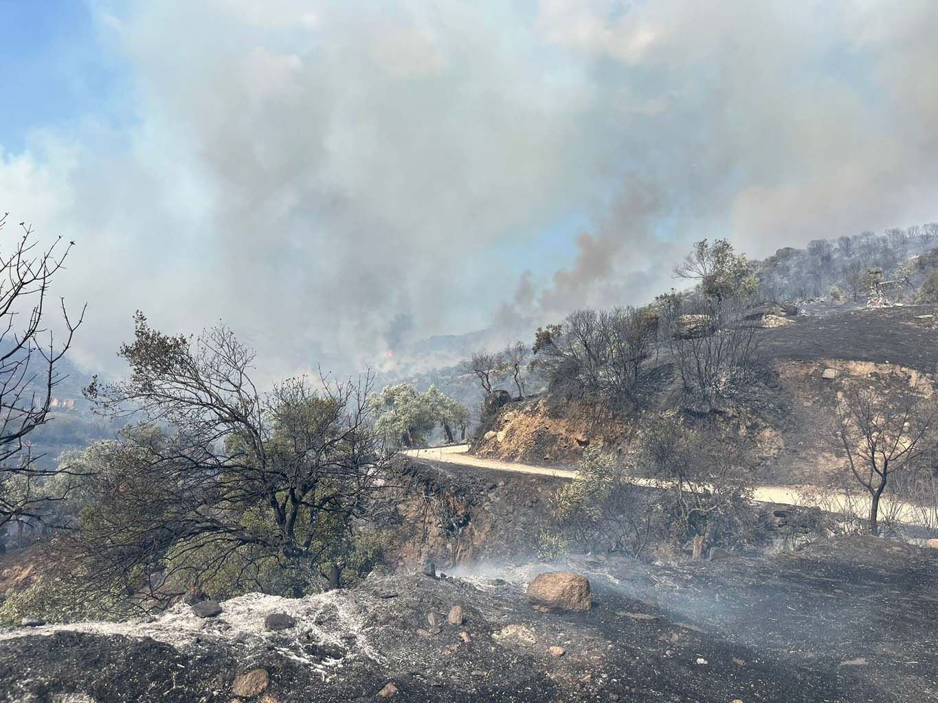 Aydın’da Alevler Evlere Sıçradı (4)
