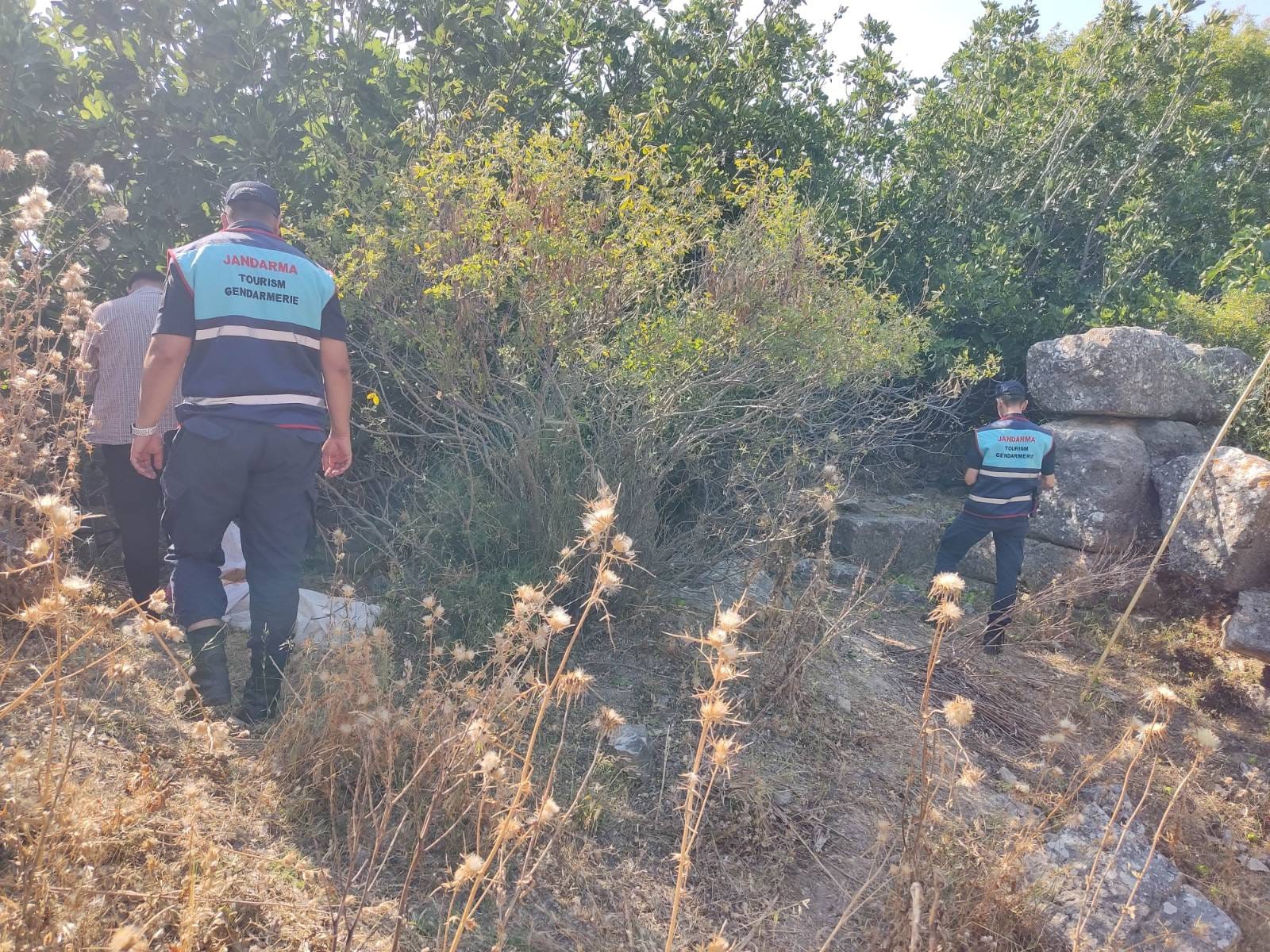 Aydın’da Incir Bahçesinde Yakalandılar