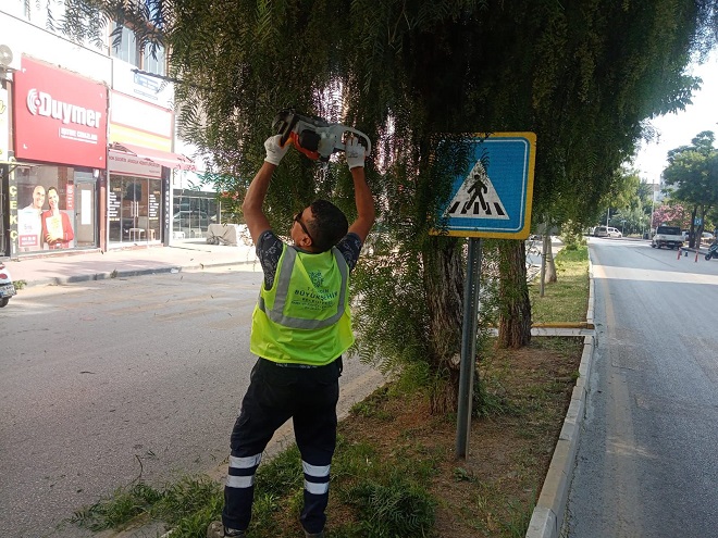 Fotoğraf (5)-36