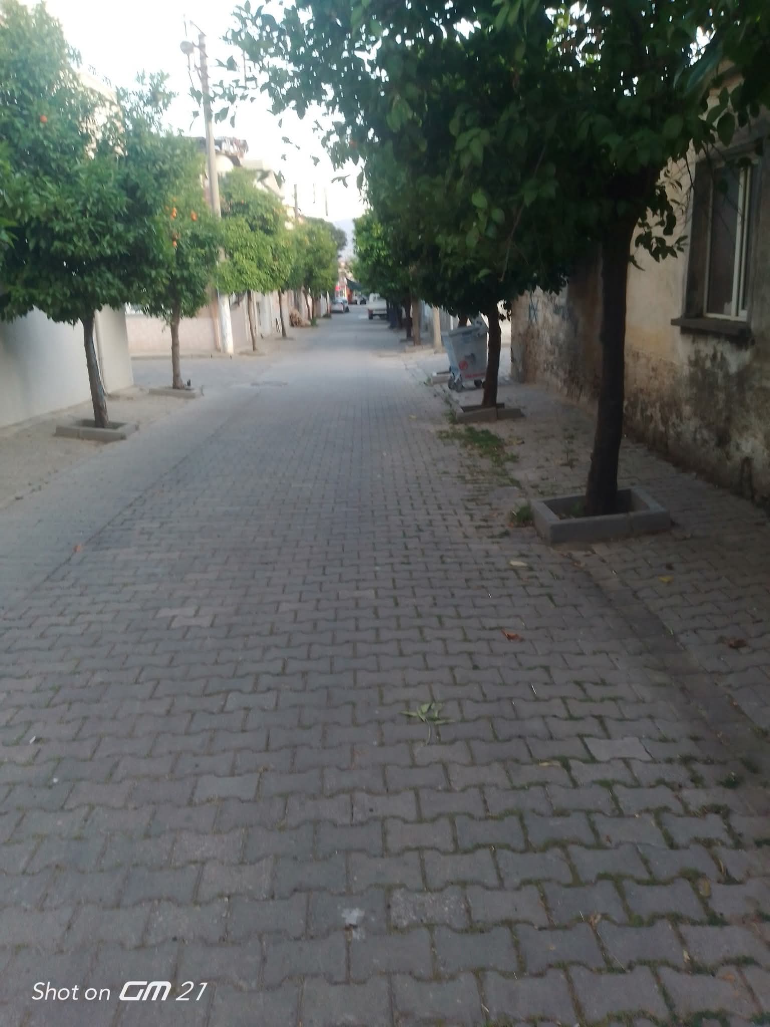 Whatsapp Image 2025 06 03 At 21.45.24