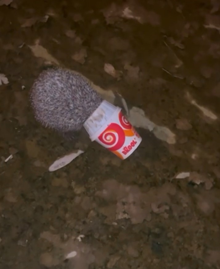 2-281