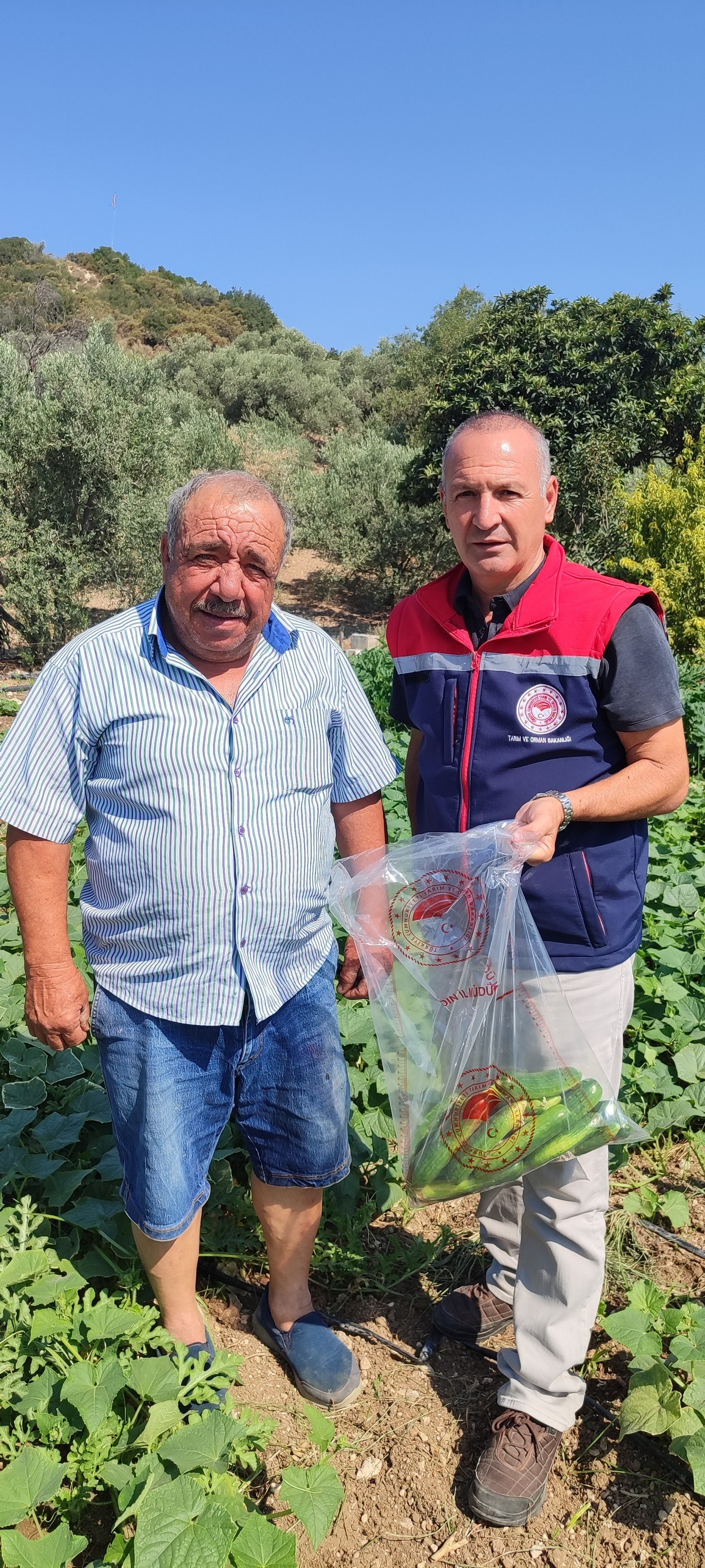 Aydın’da Pestisit Alarmı (4)