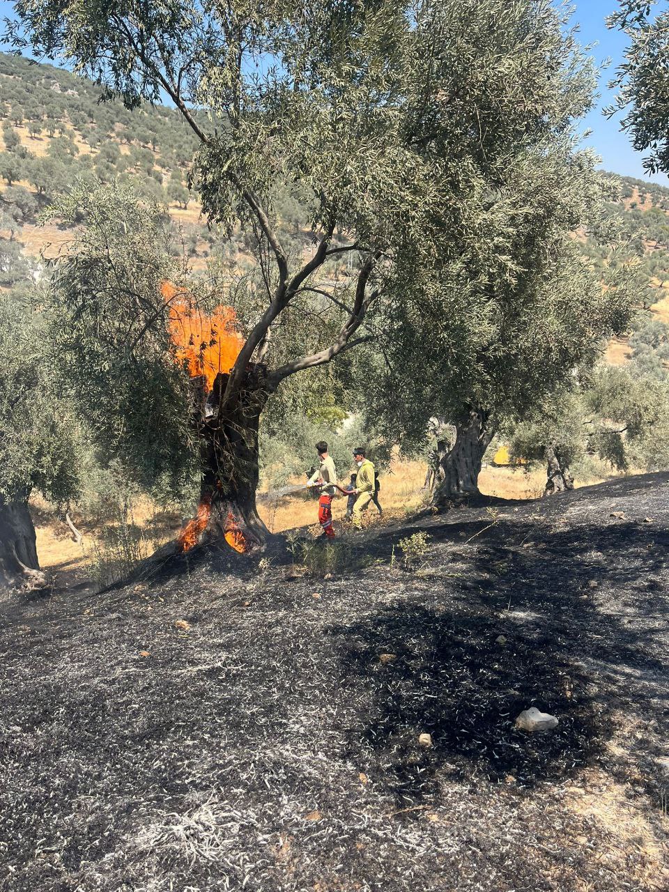 Fotoğraf (10)-8