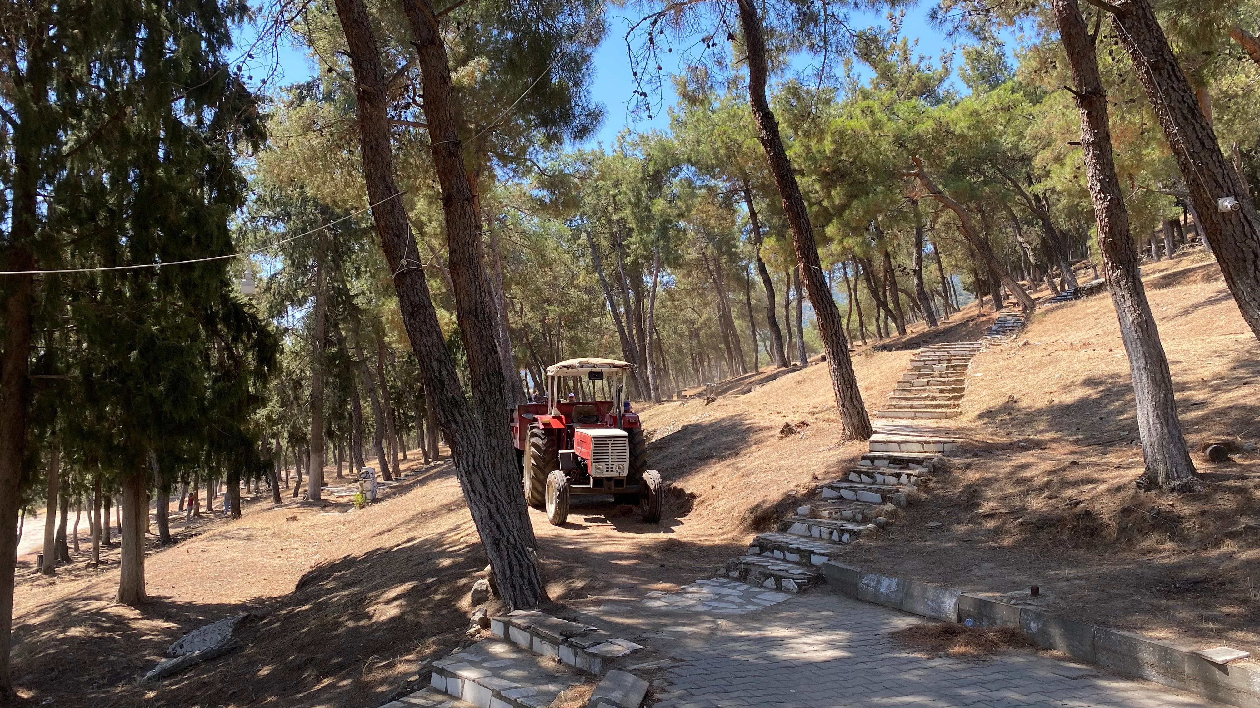 Whatsapp Image 2025 07 09 At 14.02.02