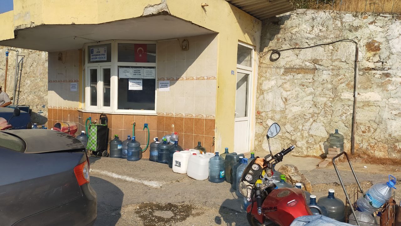 Aydın’da Ucuz Su Kuyruğu (2)
