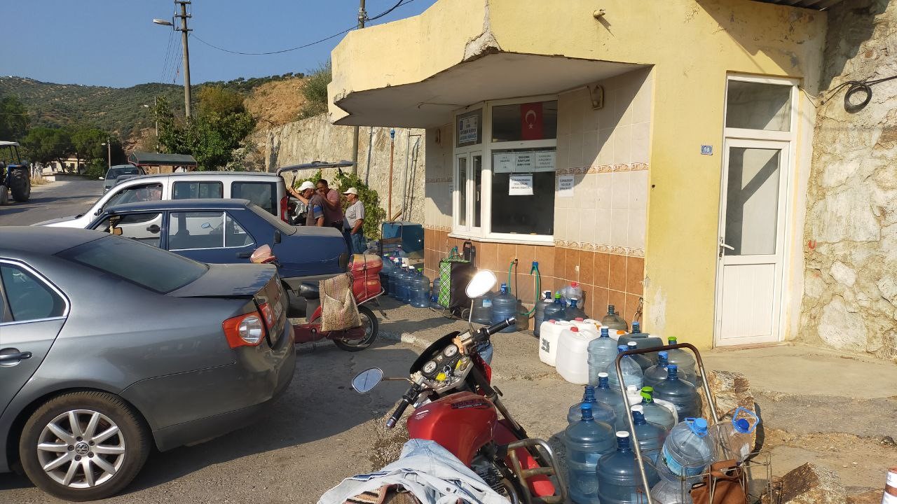 Aydın’da Ucuz Su Kuyruğu (3)