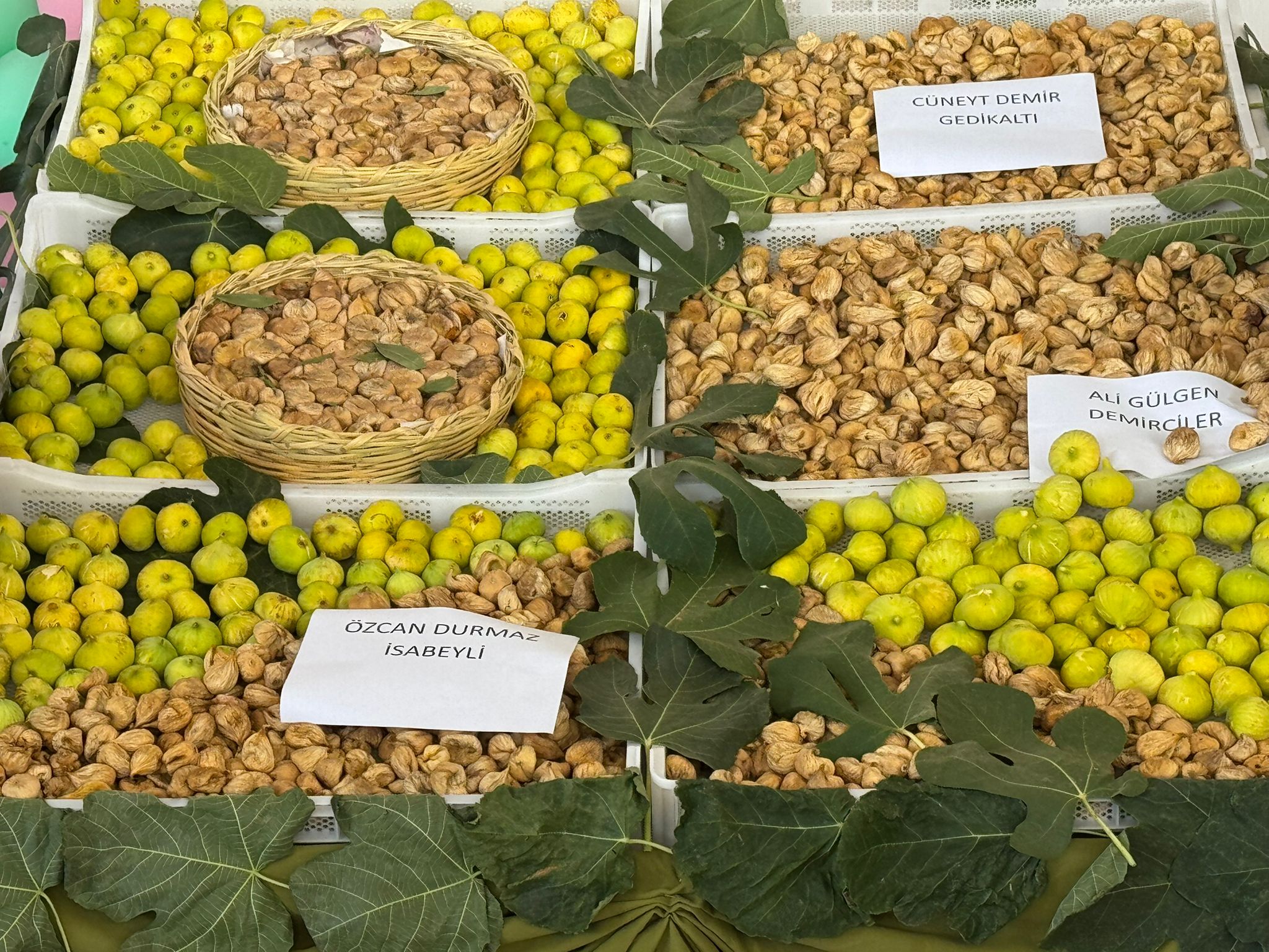 Whatsapp Image 2025 08 19 At 14.05.37