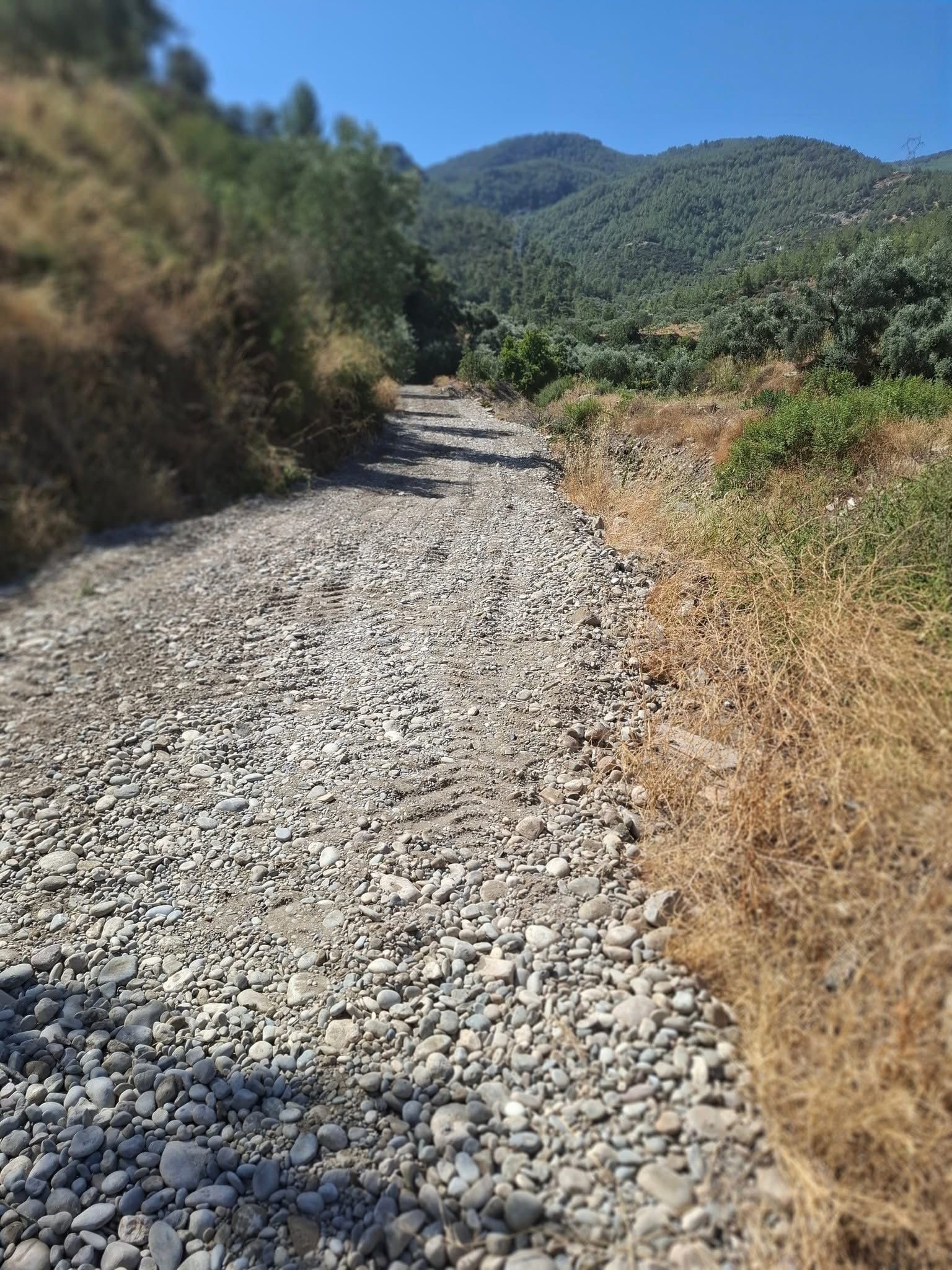 A W531487 02