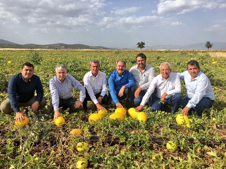 Asırlık miras Acıpayam kavunu tescillendi