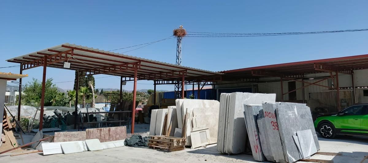 Aydın’ın O Ilçesine Ilk Kez Leylek Geldi (3)
