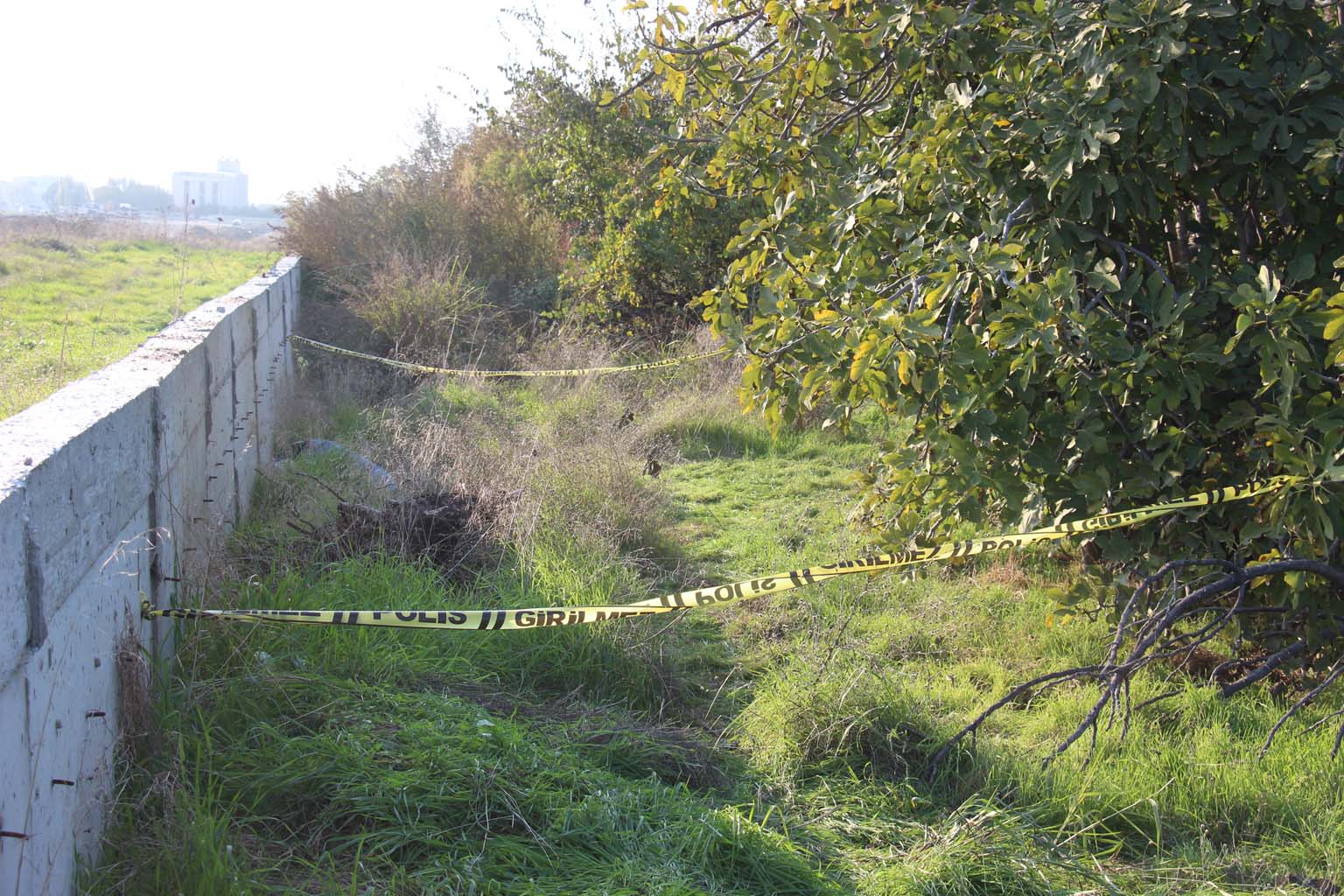 Aydın’da 35 Yaşındaki Adam Başından Vurulmuş Halde Bulundu (5)