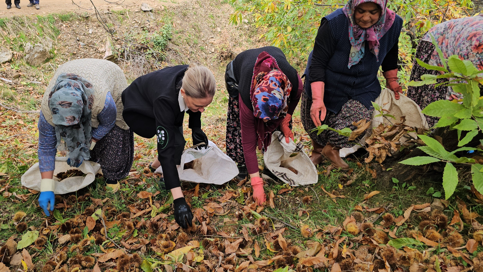 Whatsapp Image 2025 11 03 At 11.26.39