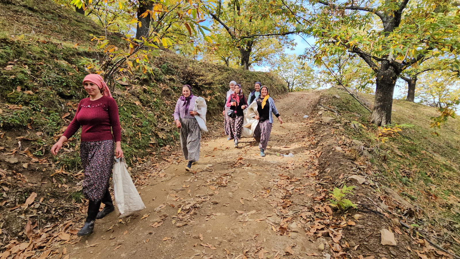 Whatsapp Image 2025 11 03 At 11.26.40 (1)