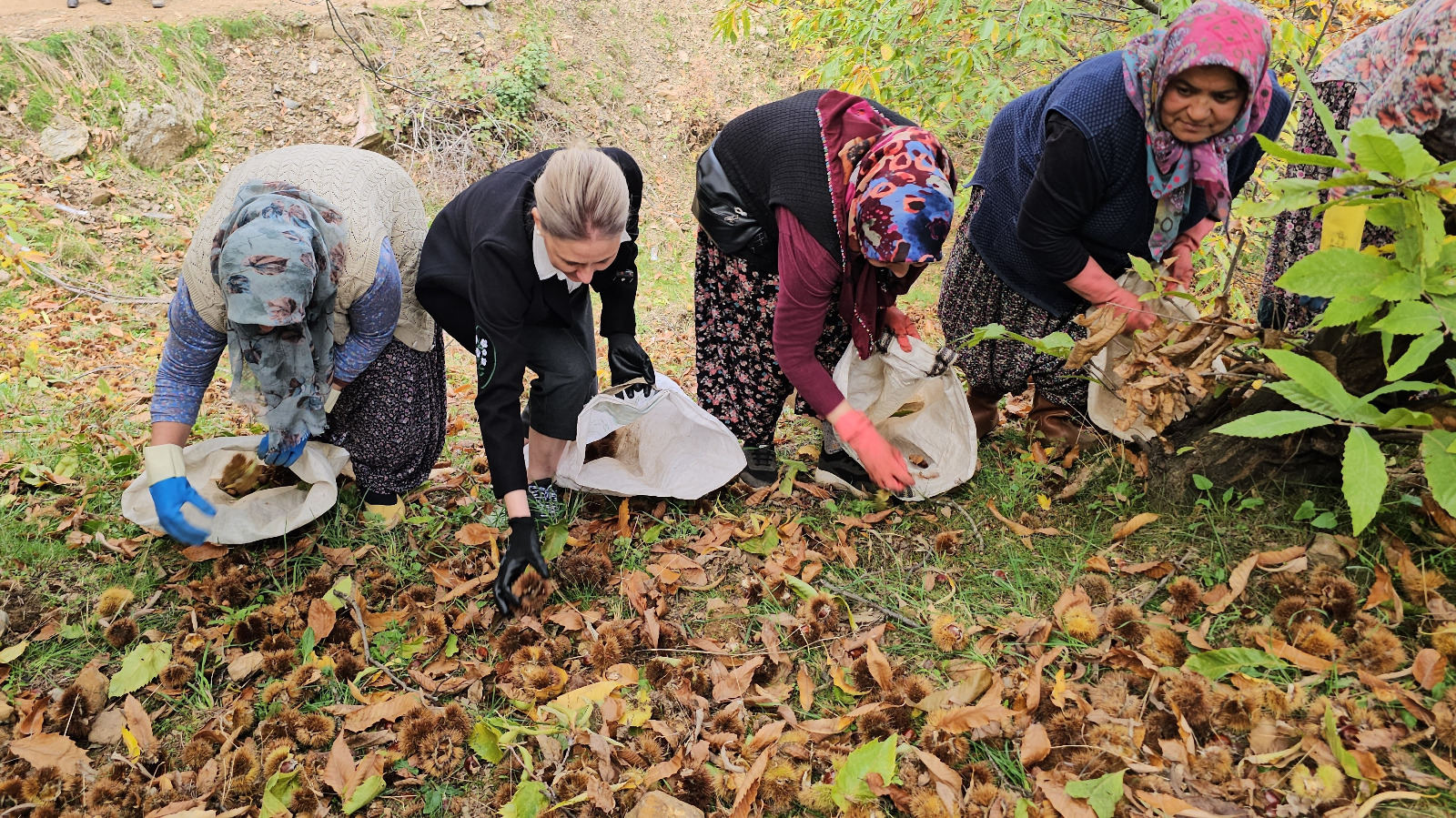 Whatsapp Image 2025 11 03 At 11.26.40