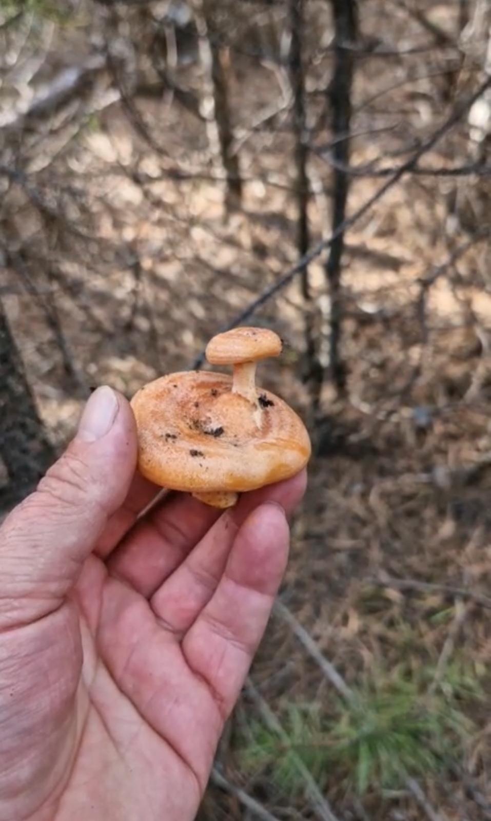 Whatsapp Image 2025 11 06 At 14.58.01