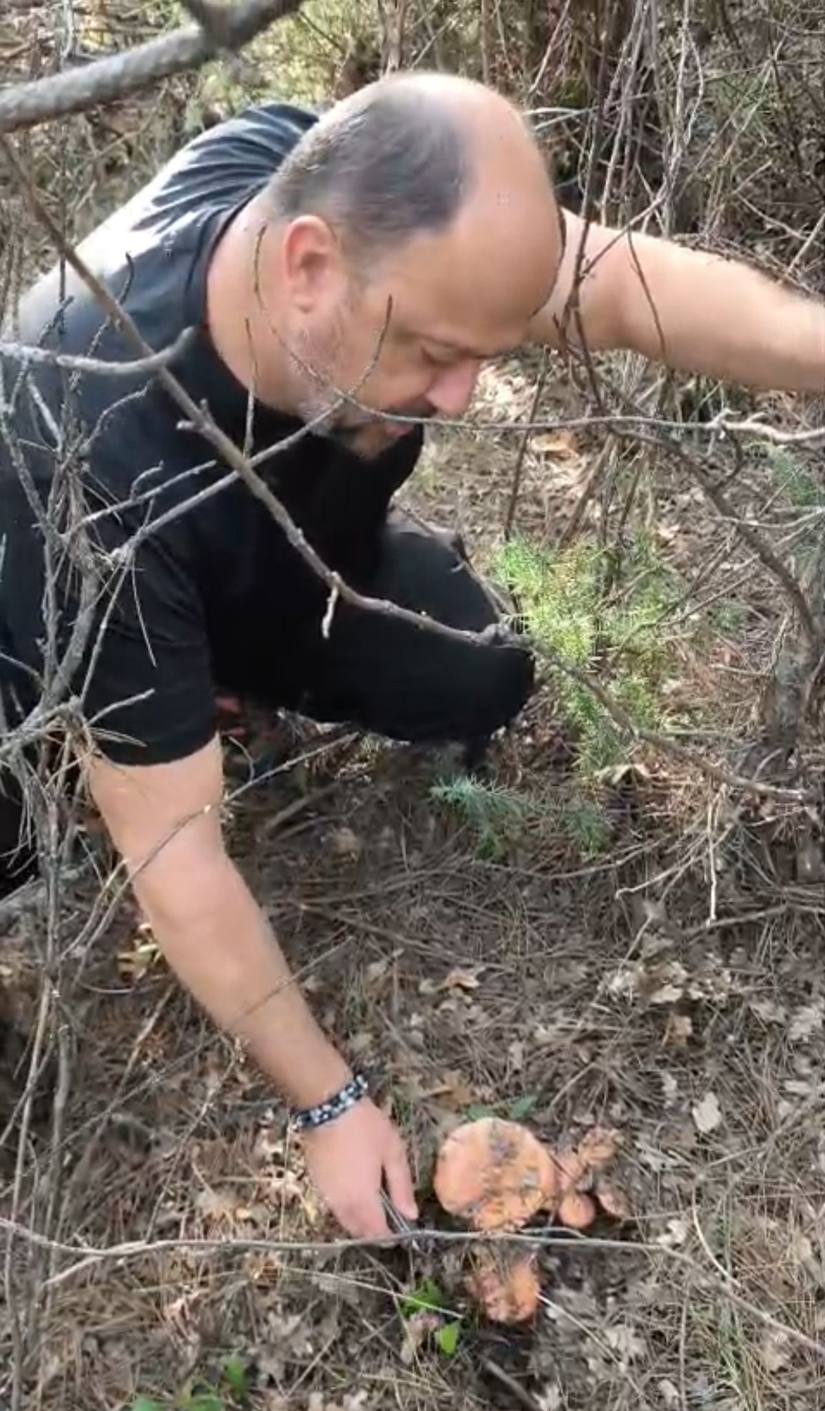 Whatsapp Image 2025 11 06 At 14.58.46