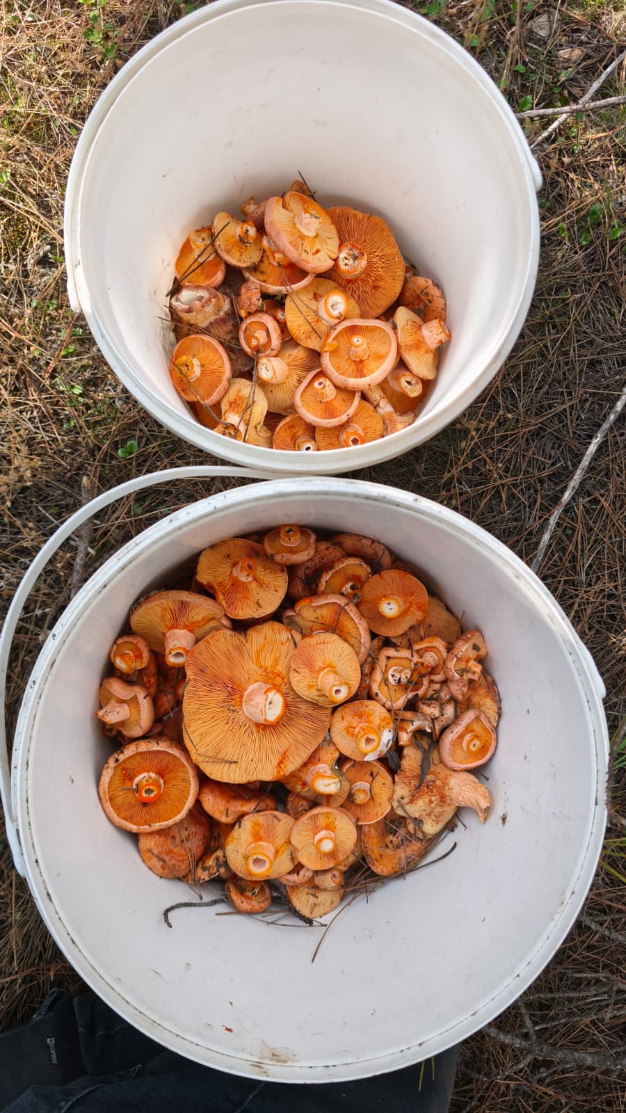 Whatsapp Image 2025 11 06 At 15.02.42