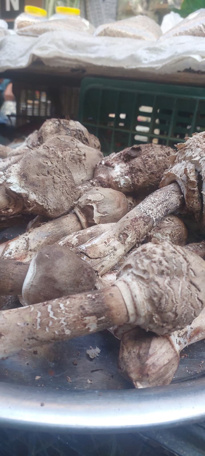 Whatsapp Image 2025 11 13 At 11.54.22