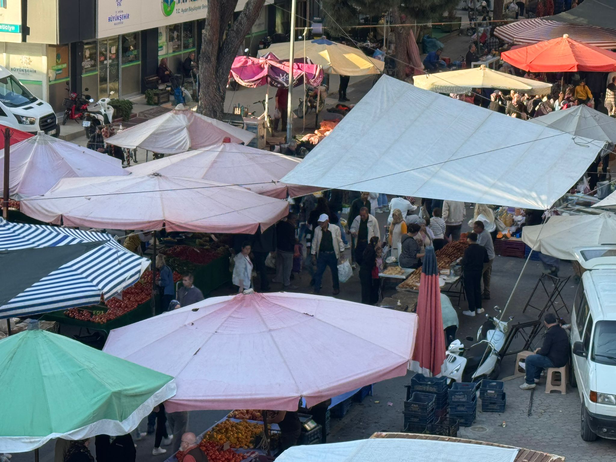 Whatsapp Image 2025 11 13 At 16.49.53