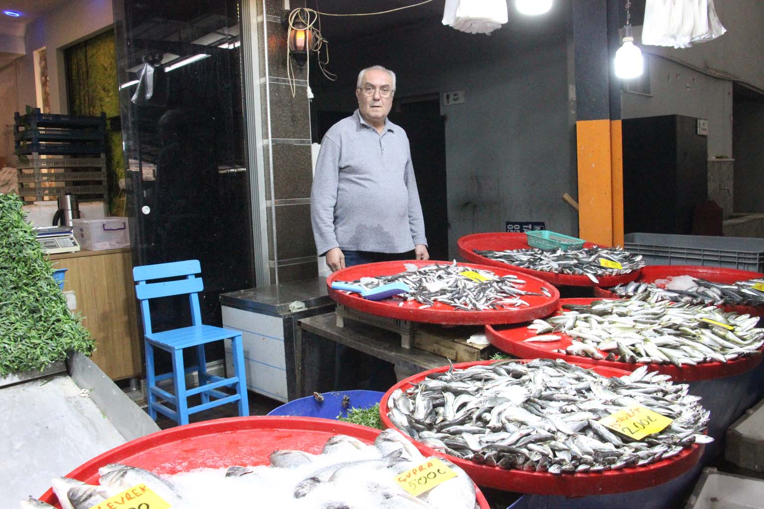 Aydınlı Hamsi Mi Sardalya Mı Yiyor (2)