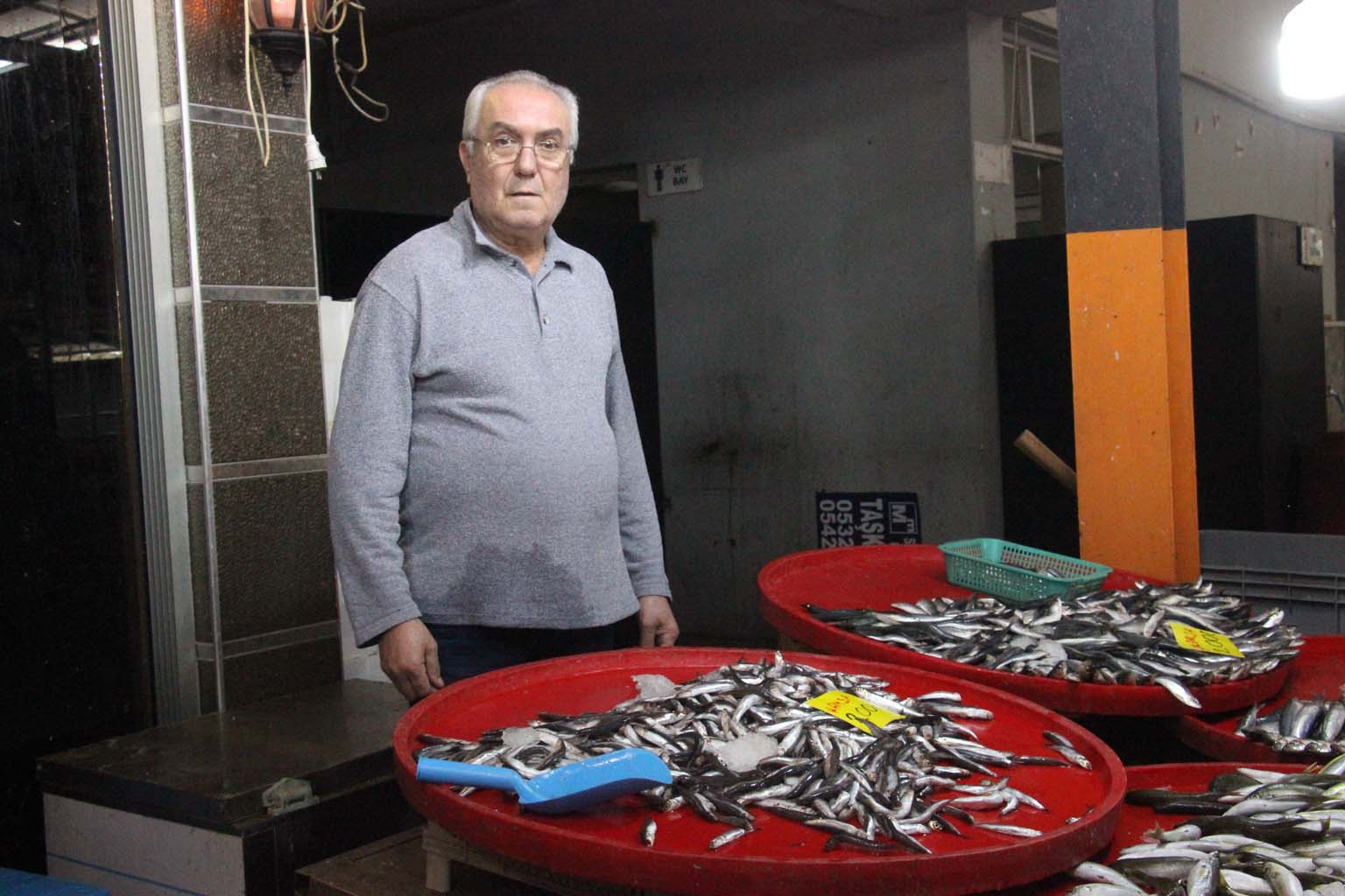 Aydınlı Hamsi Mi Sardalya Mı Yiyor (3)