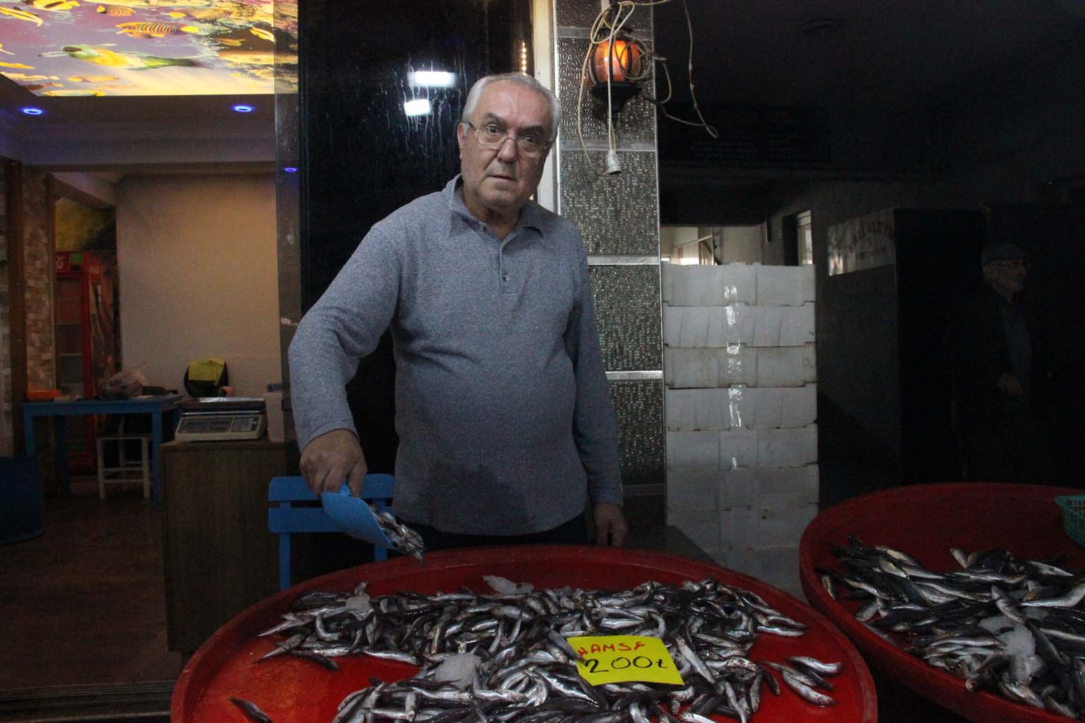 Aydınlı Hamsi Mi Sardalya Mı Yiyor (4)