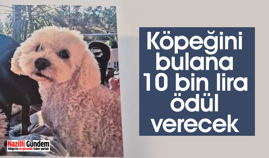 Nazilli Gündem 860X505-4552