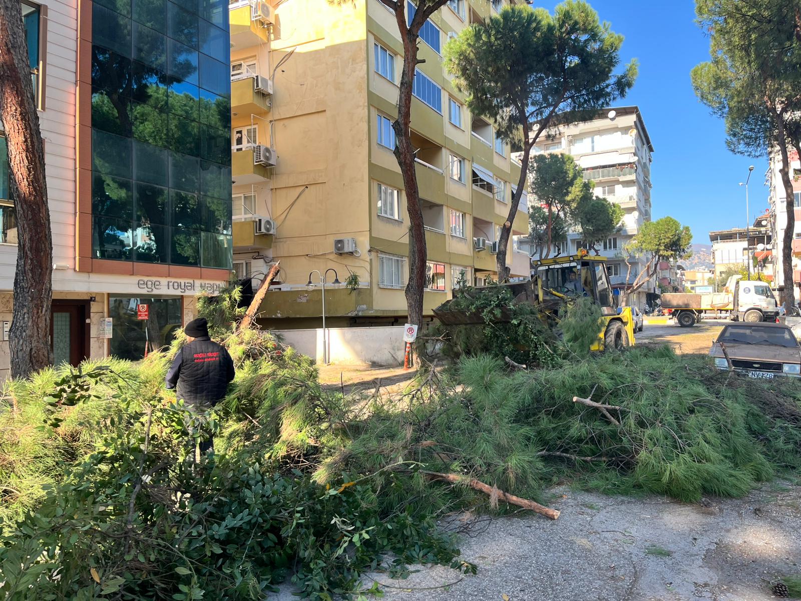 Whatsapp Image 2025 12 13 At 18.47.17 (1)