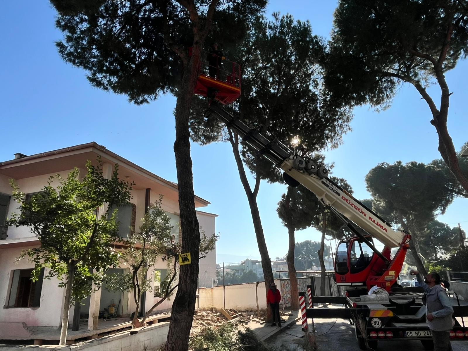 Whatsapp Image 2025 12 13 At 18.47.18 (1)