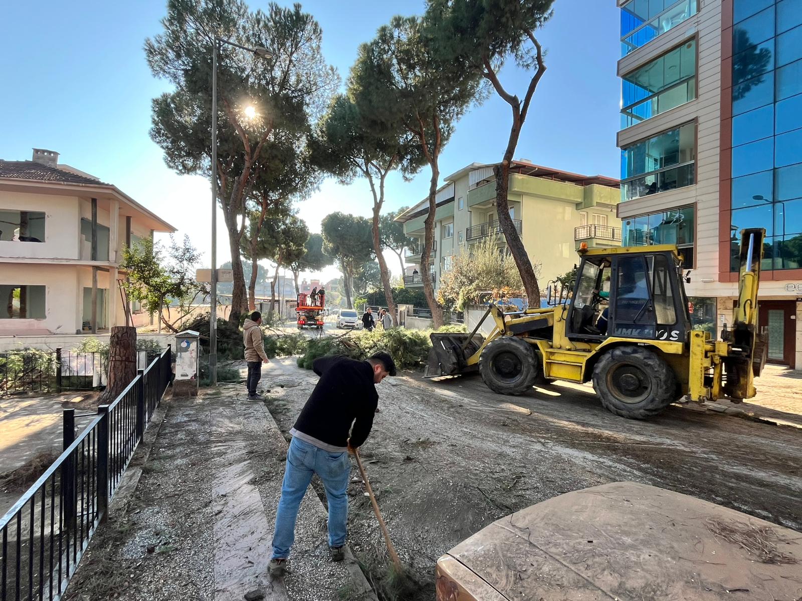 Whatsapp Image 2025 12 13 At 18.47.18