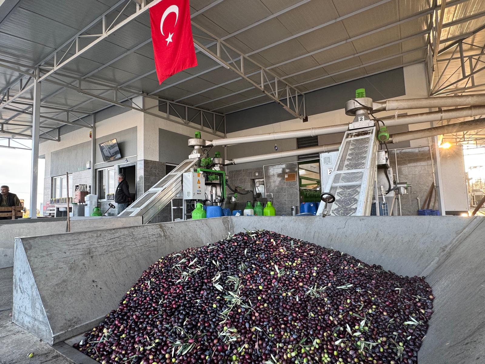 Whatsapp Image 2025 12 15 At 10.02.51