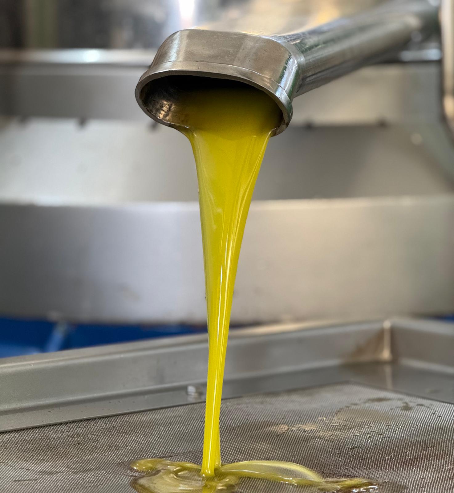 Whatsapp Image 2025 12 15 At 10.04.04