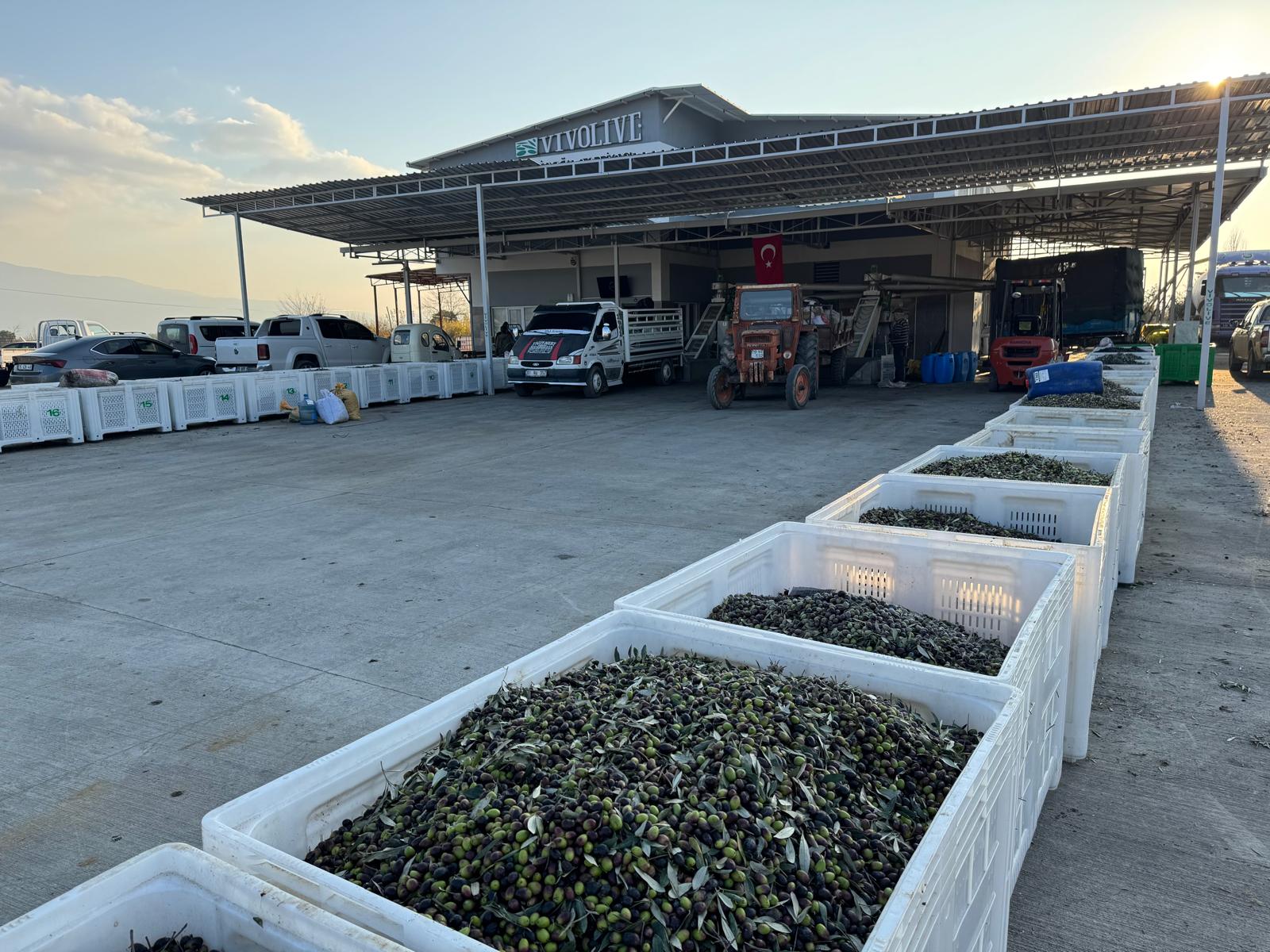 Whatsapp Image 2025 12 15 At 10.05.09