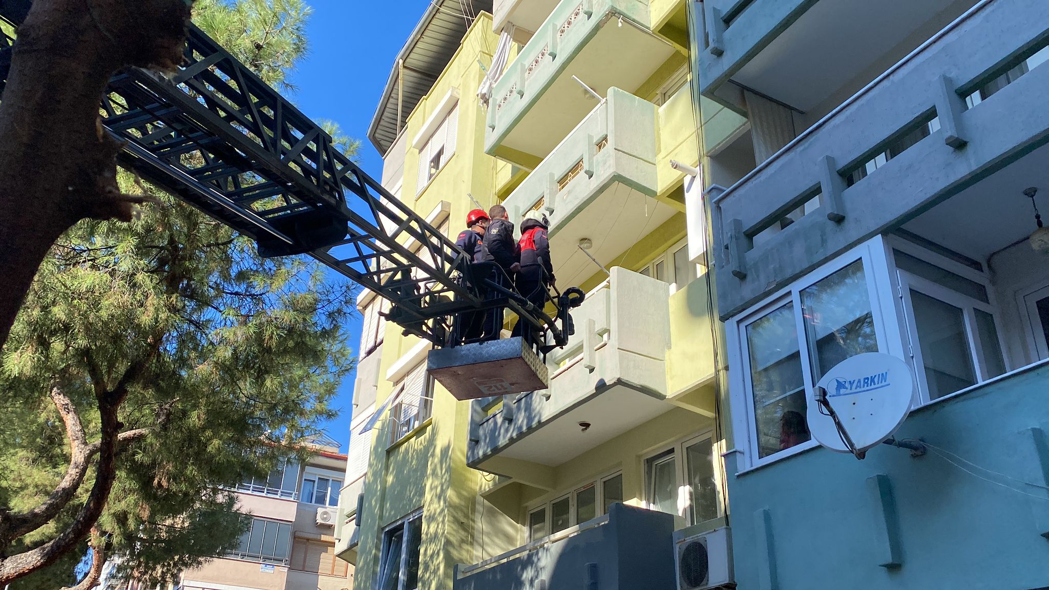 Whatsapp Image 2025 12 17 At 13.00.42