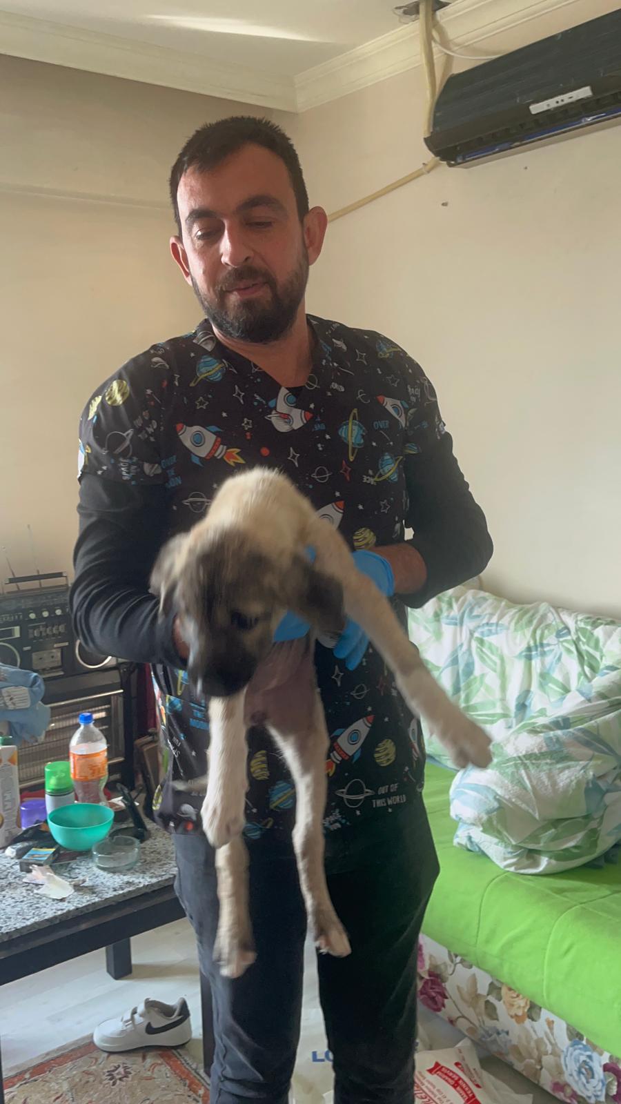 Whatsapp Image 2025 12 20 At 11.43.45 (1)