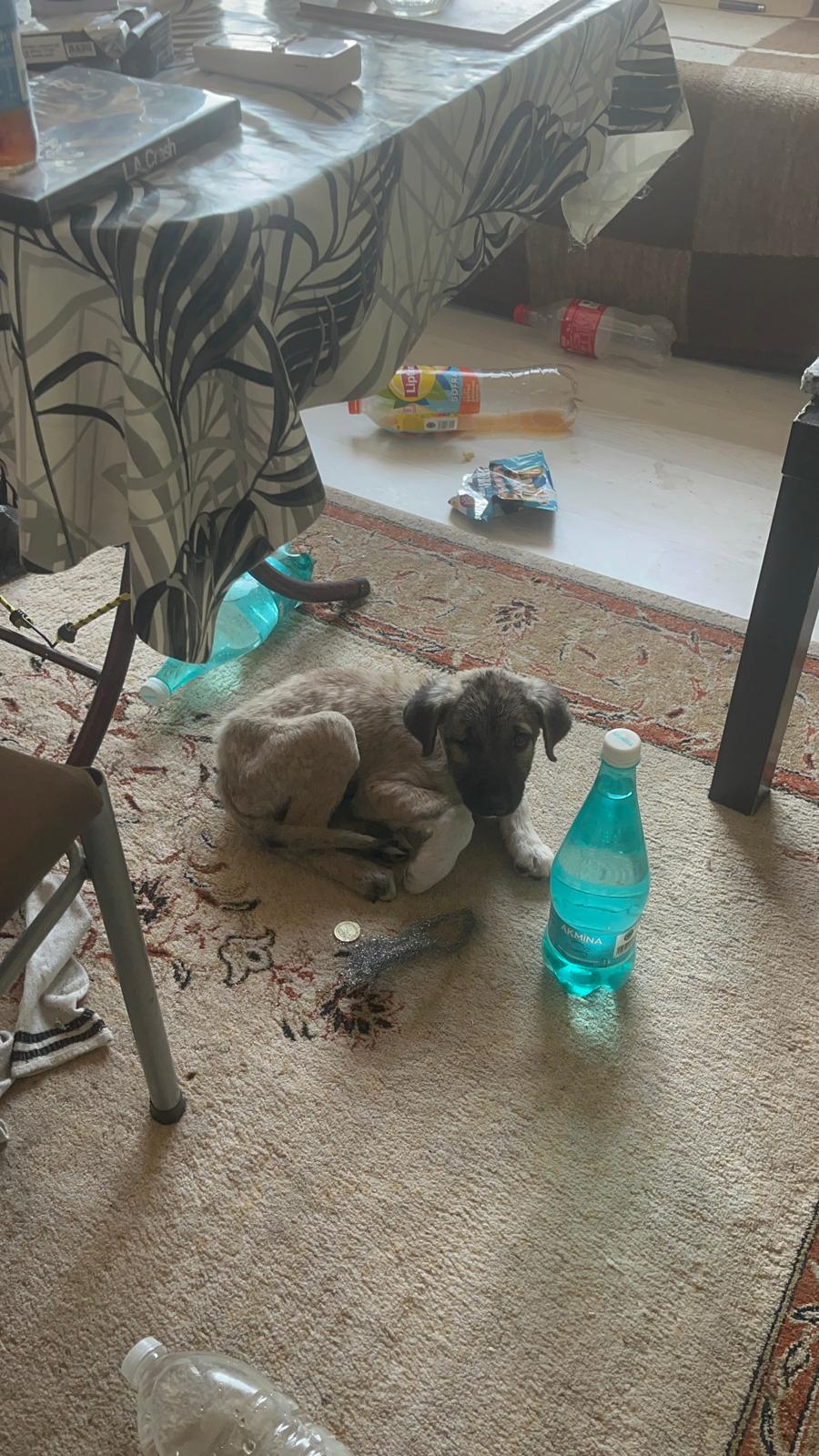 Whatsapp Image 2025 12 20 At 11.43.45