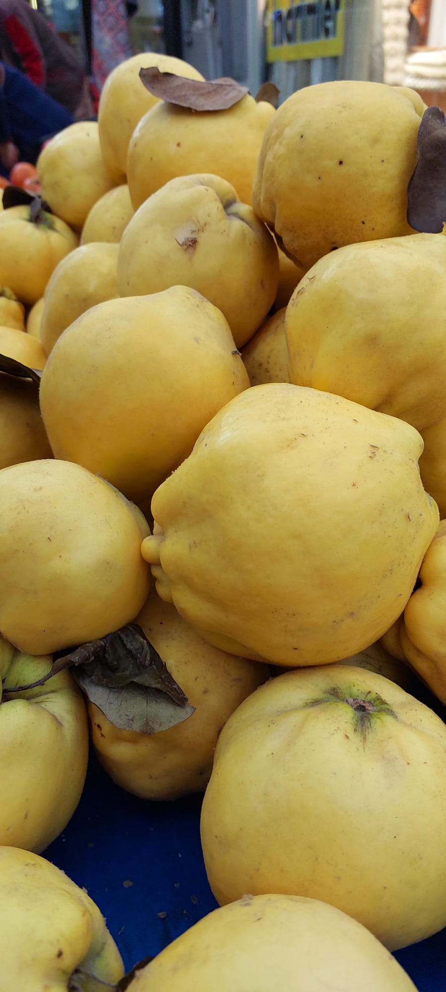 Whatsapp Image 2025 12 25 At 12.10.59