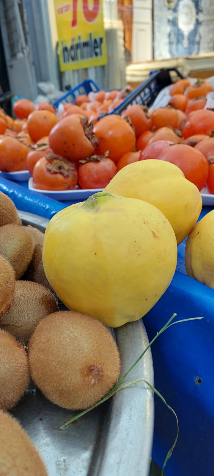 Whatsapp Image 2025 12 25 At 12.11.01