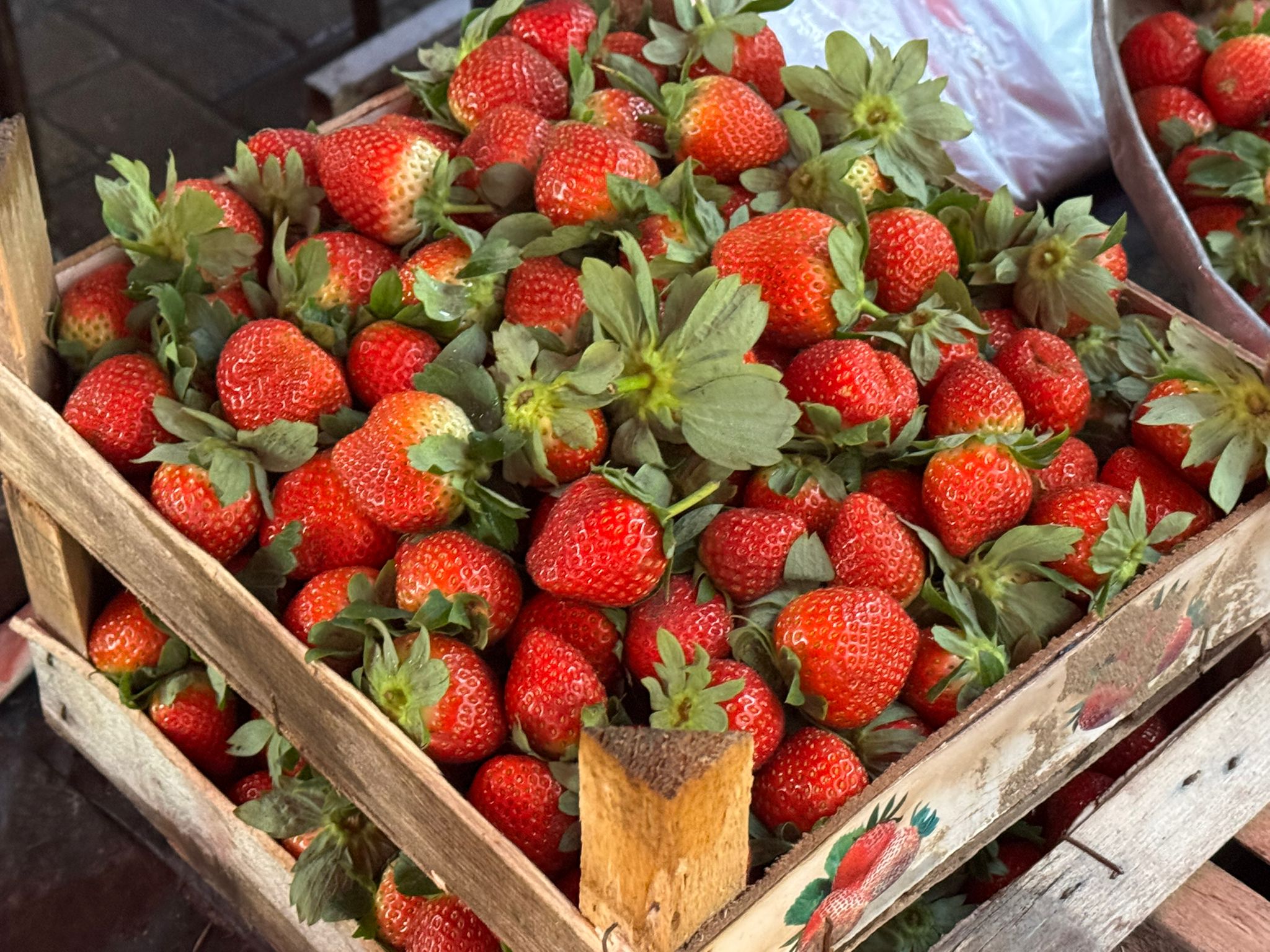 Whatsapp Image 2025 12 25 At 12.20.01