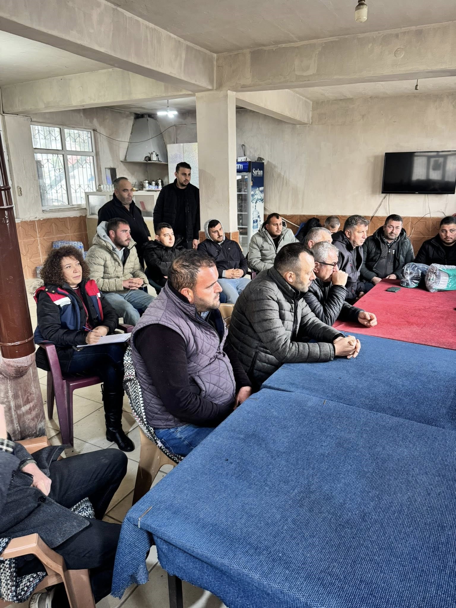 Aydın’da Ekipler Enginar Tarlalarında (4)