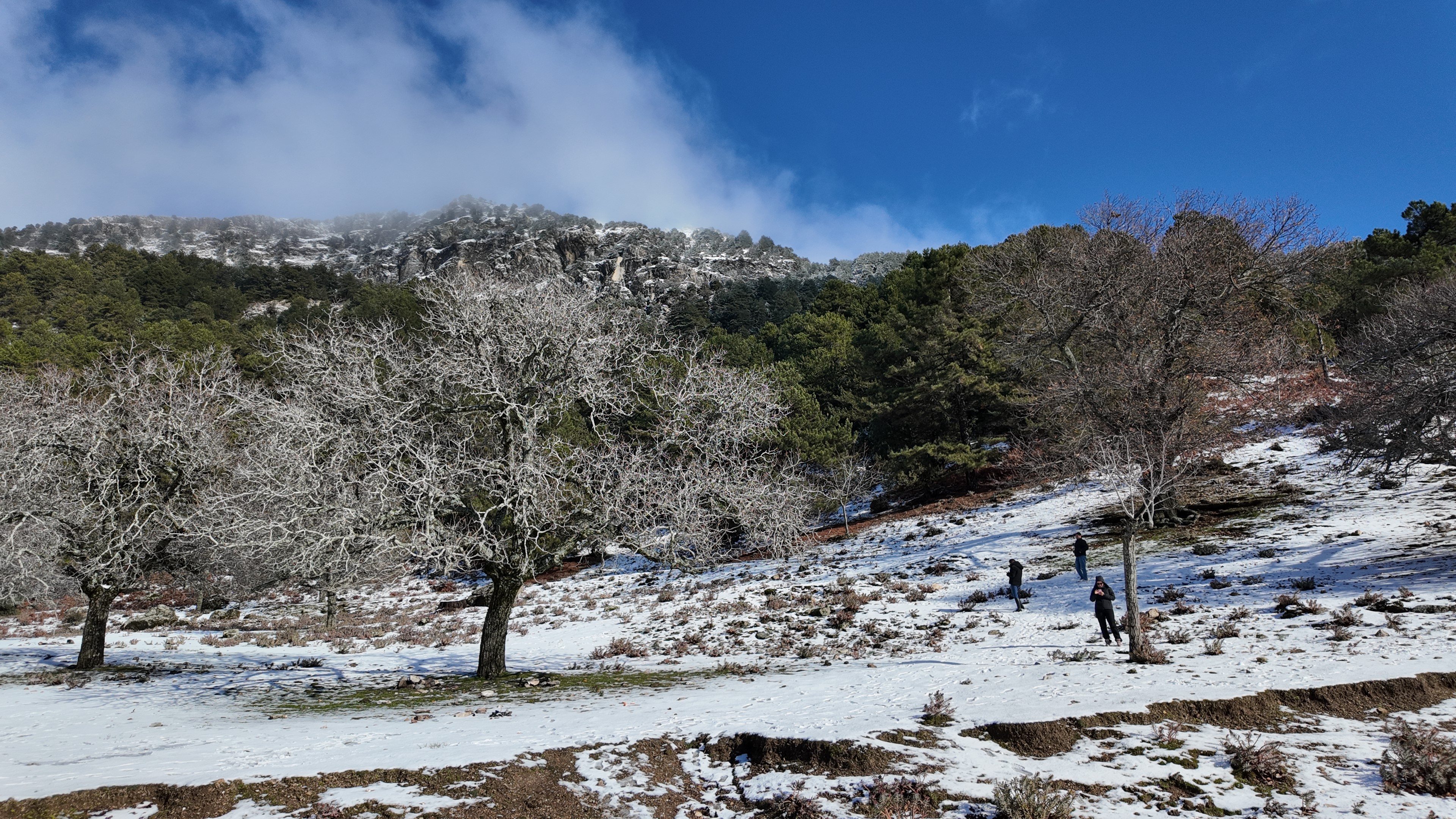 Aydın’da Paşa Yaylası’nda Kar Keyfi (2)