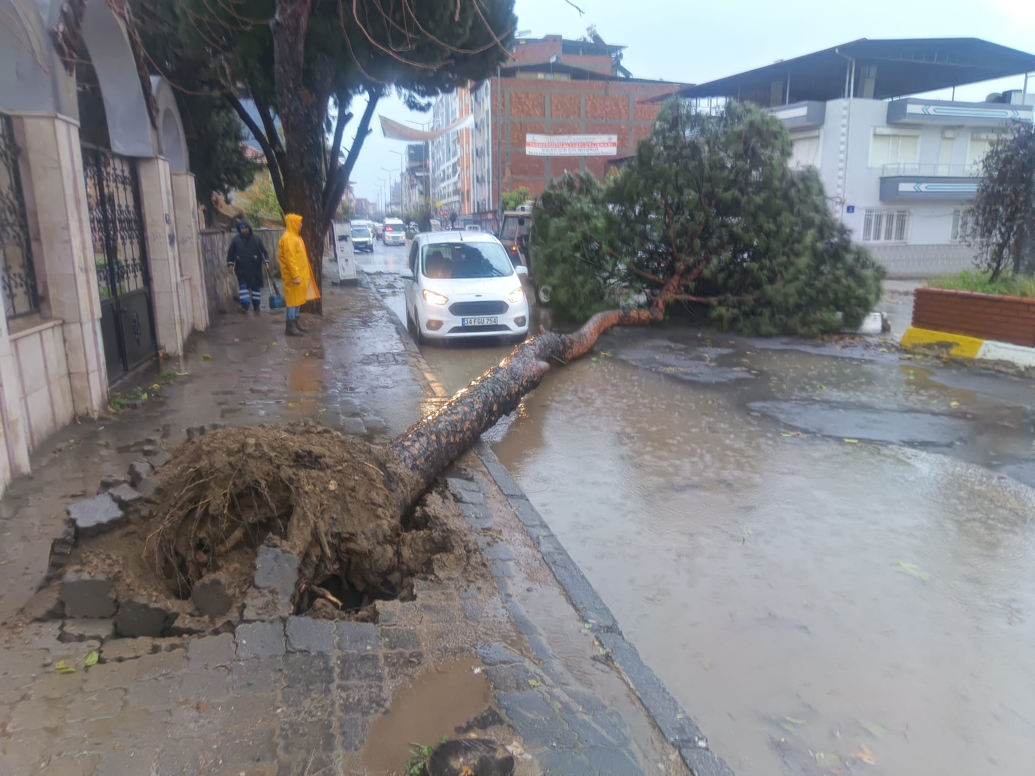 Whatsapp Image 2026 01 08 At 19.08.39