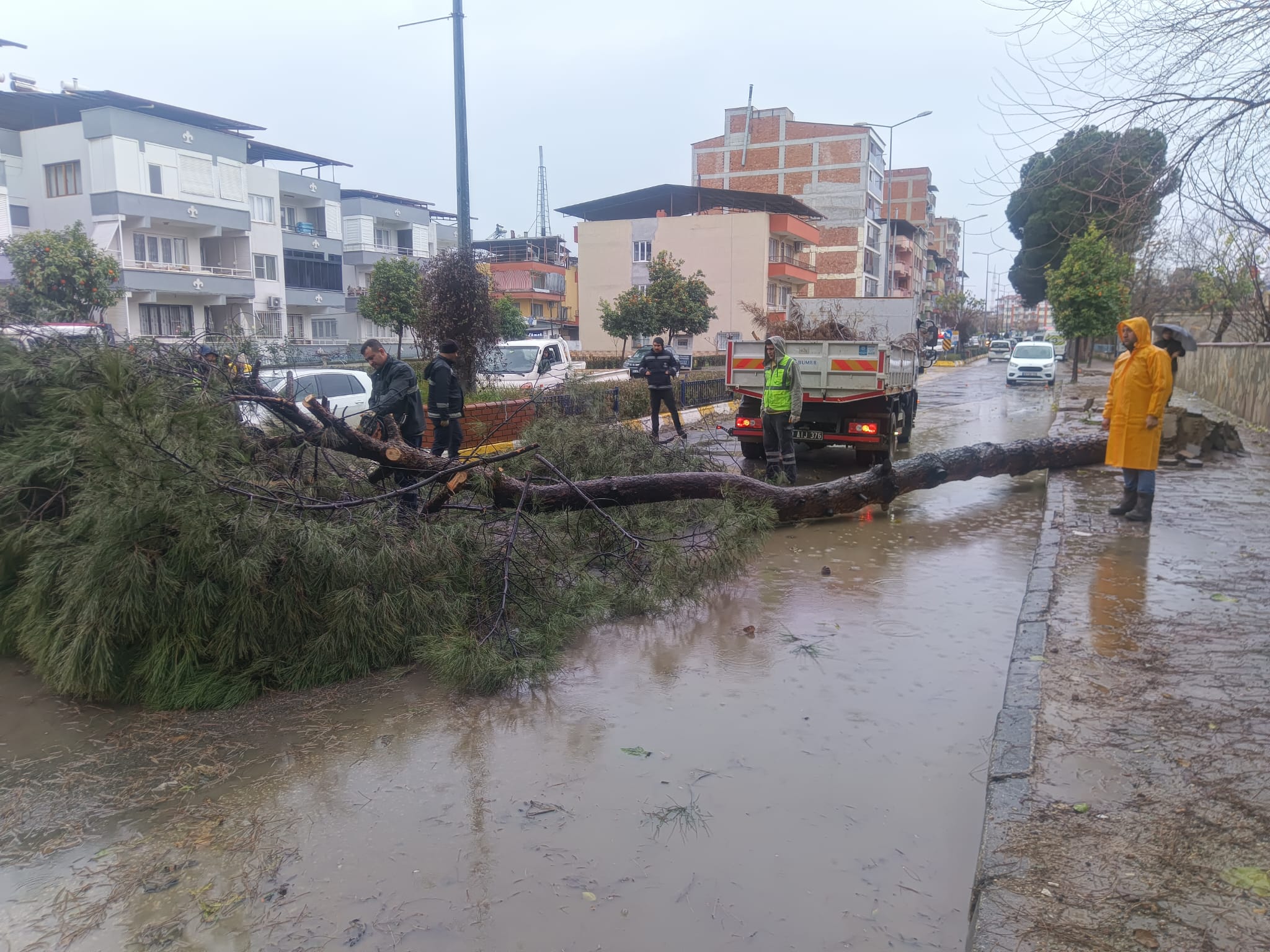 Whatsapp Image 2026 01 08 At 19.08.40 (1)