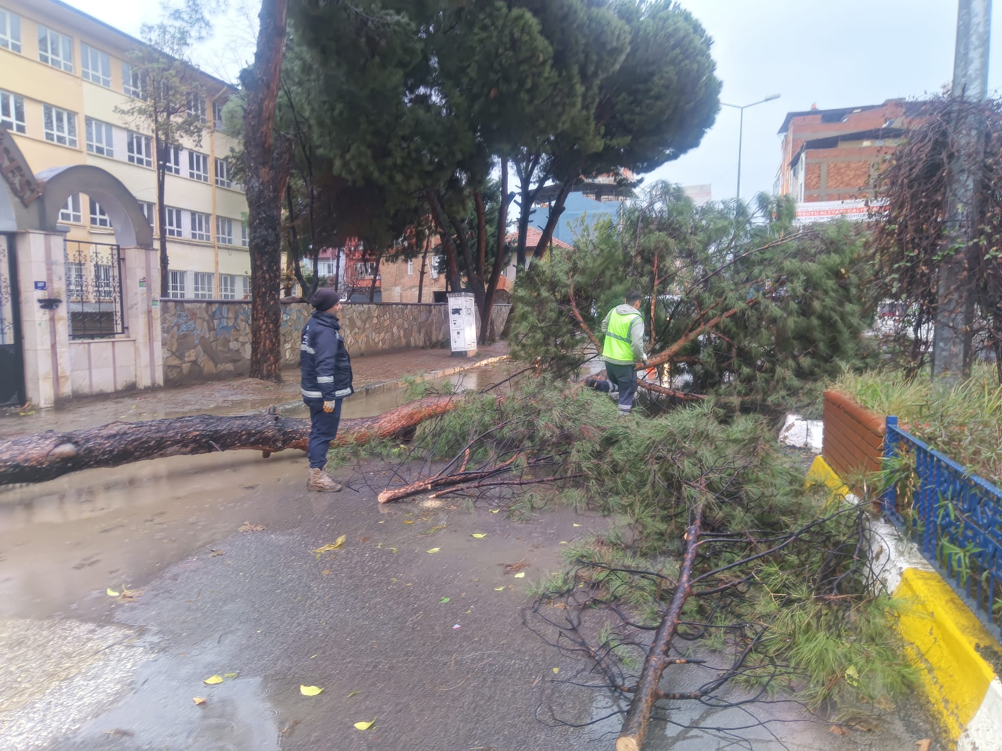 Whatsapp Image 2026 01 08 At 19.08.40