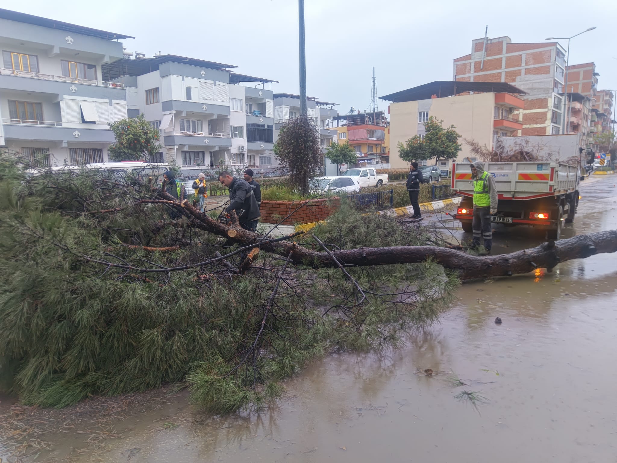 Whatsapp Image 2026 01 08 At 19.08.41