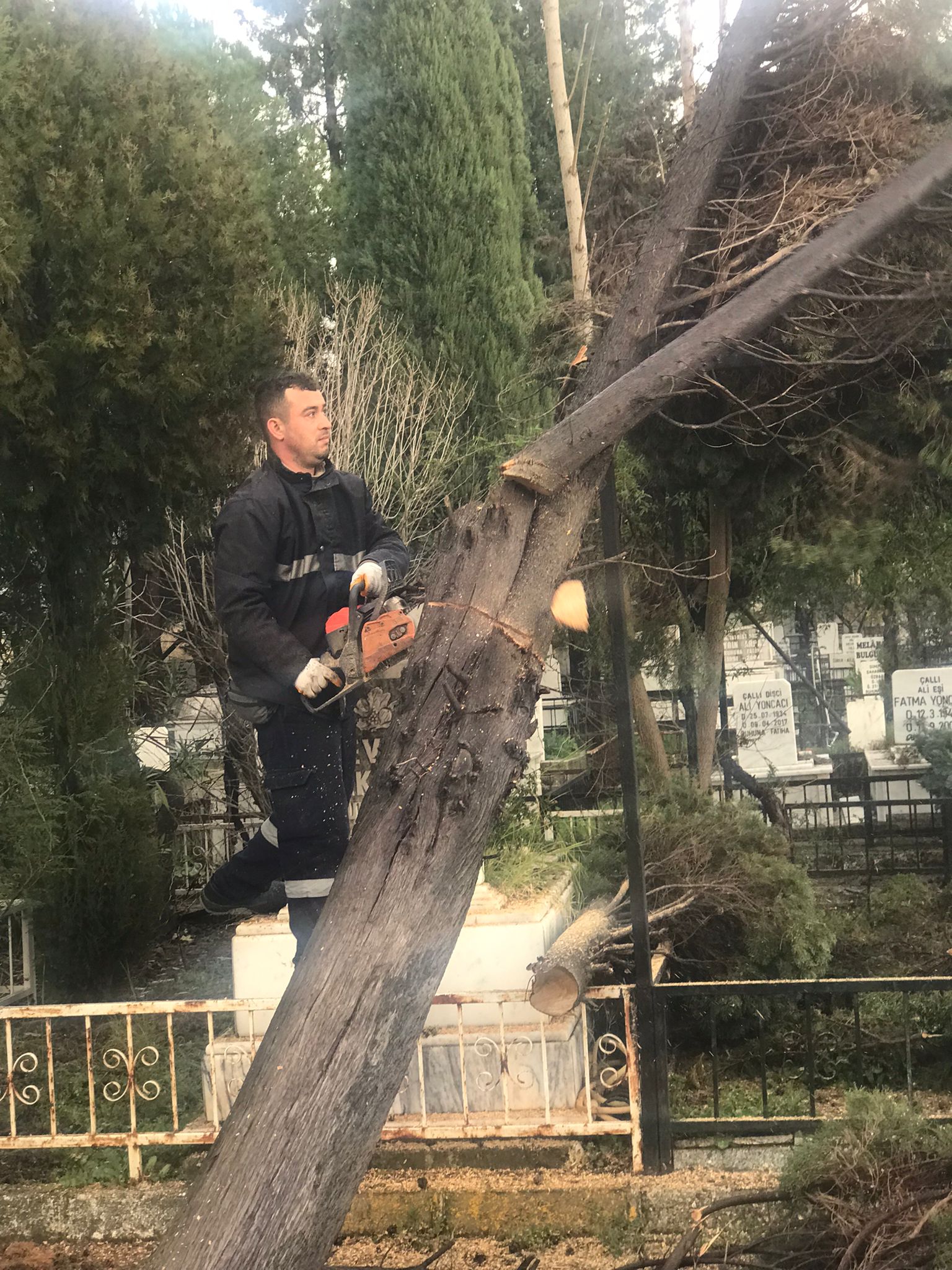 Whatsapp Image 2026 01 08 At 19.09.06 (1)